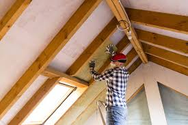 Best Eco-Friendly or Green Insulation Solutions  in Winters, TX